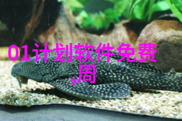 女生新手健身秘籍在家用哑铃练出完美身材