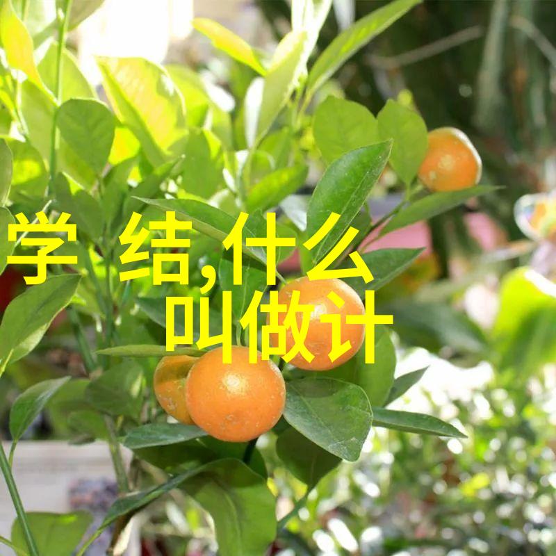 新手健身房如何练背肌最有效